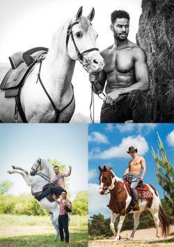 Postkarten 3 Stück Horse and Hunk