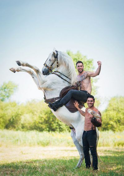 Postkarten 3 Stück Horse and Hunk – Bild 4