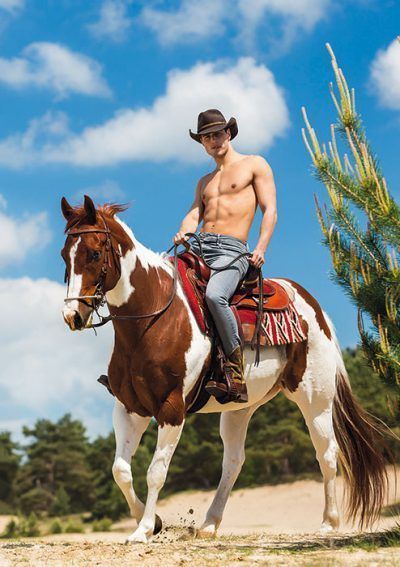 Postkarten 3 Stück Horse and Hunk – Bild 2