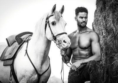 Postkarten 3 Stück Horse and Hunk – Bild 3