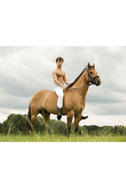 Leinwand April 2015 Sander Bos