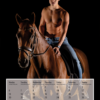 Horse and Hunk Kalender 2021 – Bild 13