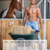Horse and Hunk Kalender 2021 – Bild 4