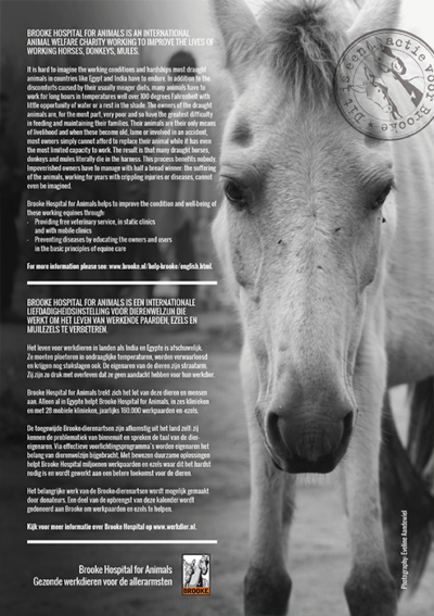 Horse and Hunk kalender 2023 – Bild 2