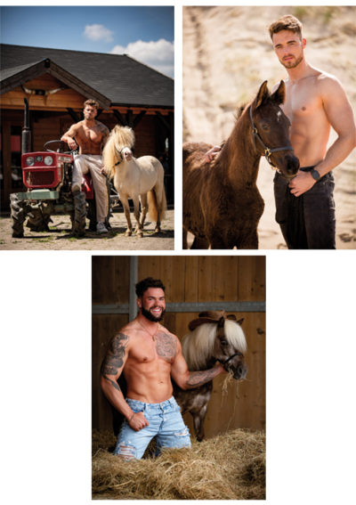 Postkarten von Horse and Hunk 2023