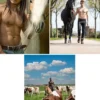 Postkarten von Horse and Hunk 2024