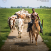 Horse and Hunk kalender 2024 – Bild 5
