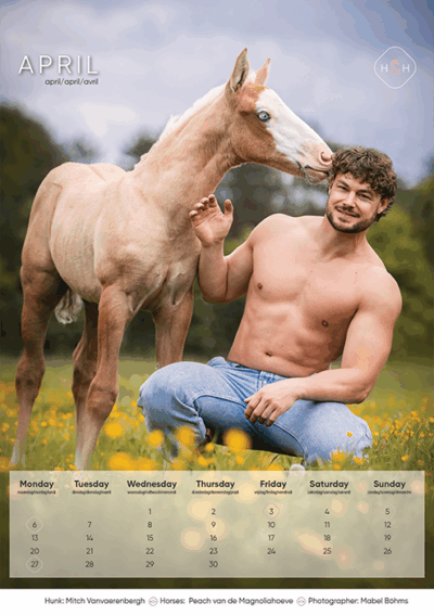 Horse and hunk kalender 2026 – Bild 10