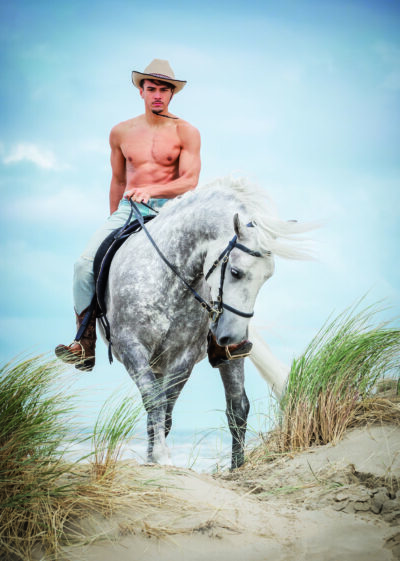 Postkarten Horse and Hunk 2026 – Bild 3